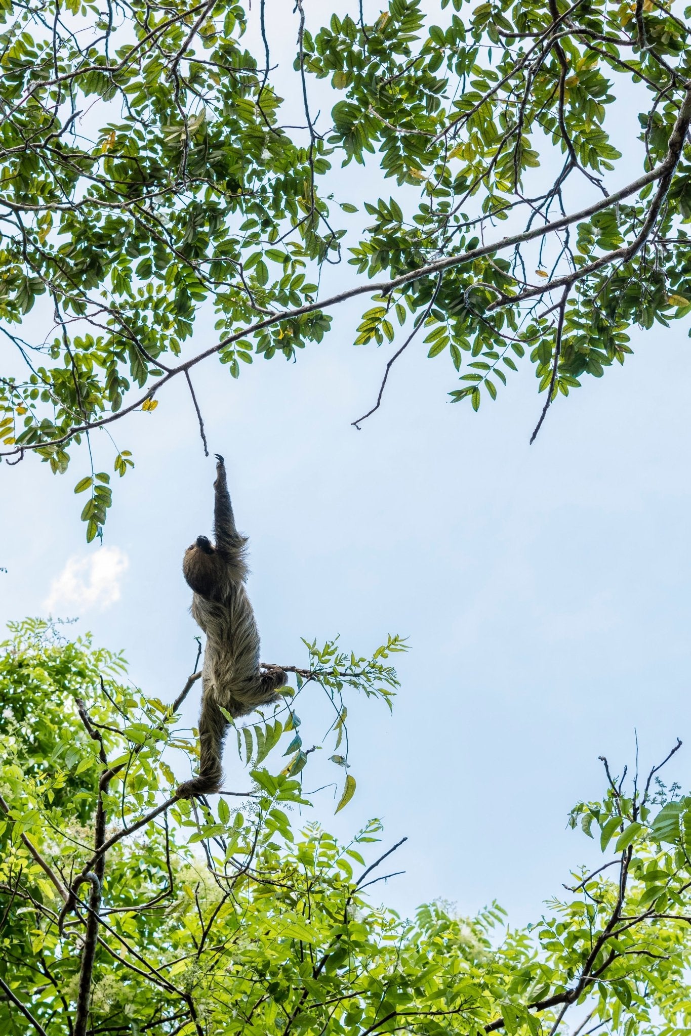 IMAX laser at the California Science Center - Mixed Up Clothing