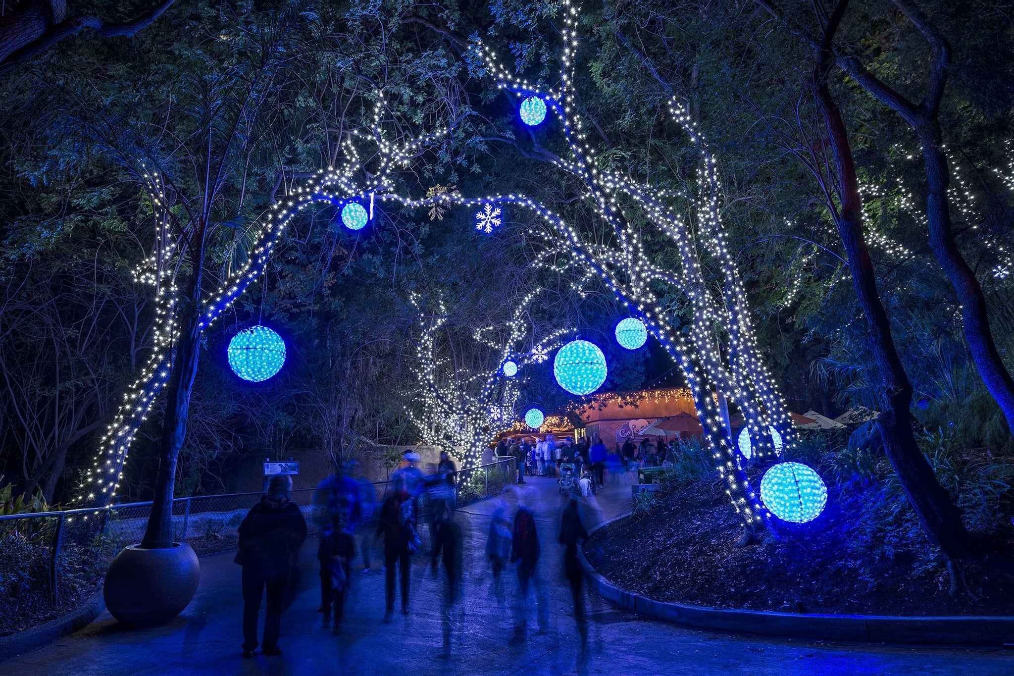 LA Zoo Lights - Mixed Up Clothing