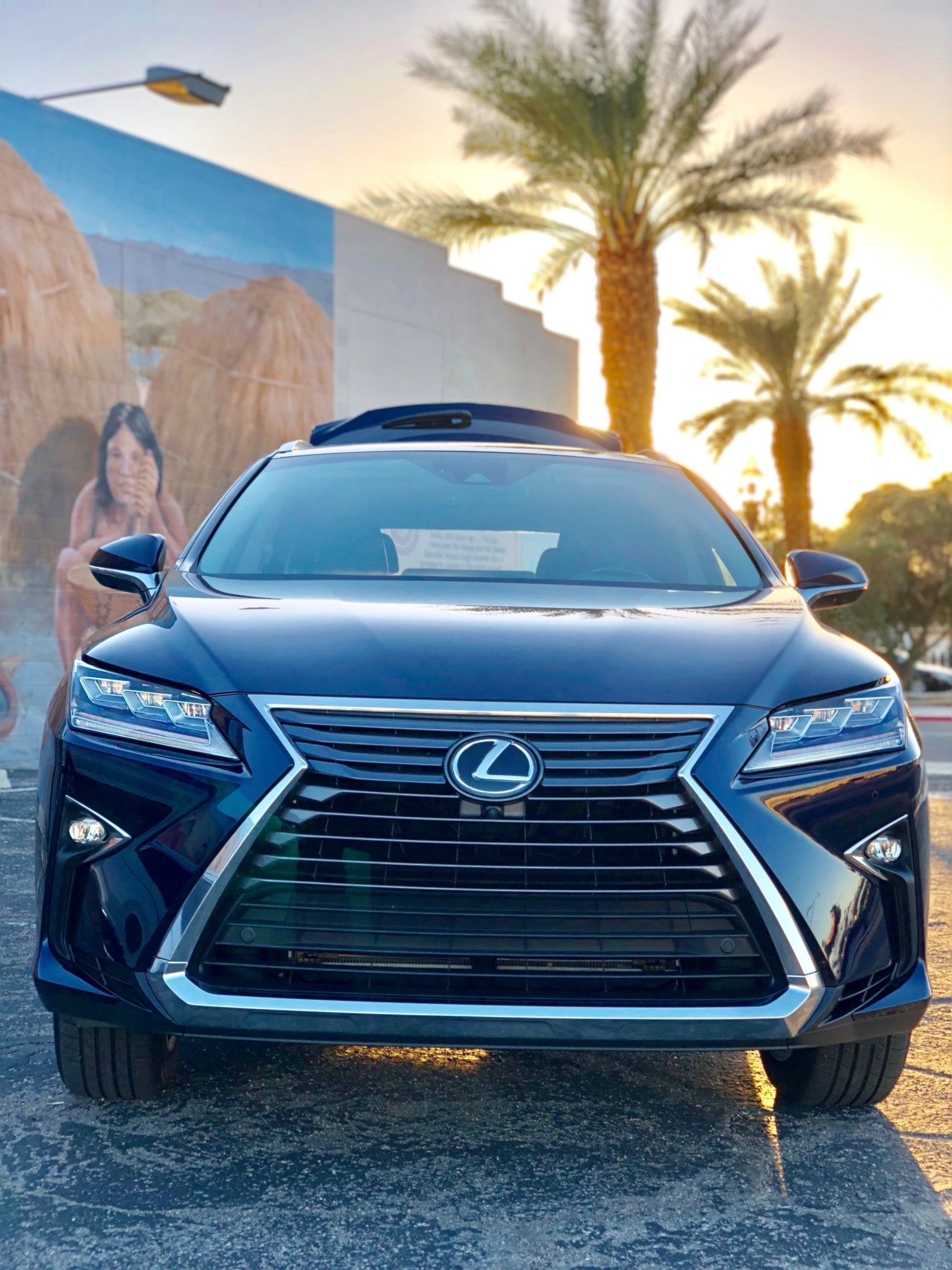 Visit Palm Springs: Review of Lexus RX - Mixed Up Clothing